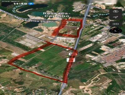 Terreno Industrial para Venda, em Jacare�, bairro Centro