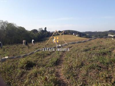 Terreno Industrial para Venda, em Mogi das Cruzes, bairro Tabo�o